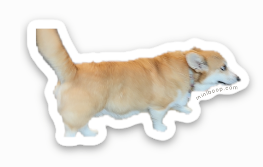 Die-cut sticker of a corgi