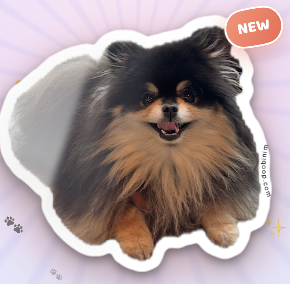 Die-cut sticker of a fluffy Pomeranian