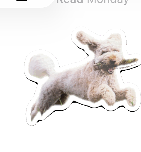 Die-cut sticker of a leaping poodle